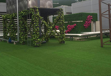 四川城市楼屋顶绿化工程，开拓人类绿化空间