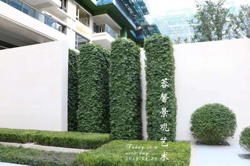 户外抗老化立体垂直绿化植物墙