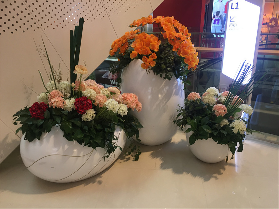 垂直绿化庭院设计要点，立体绿化墙施工步骤解析