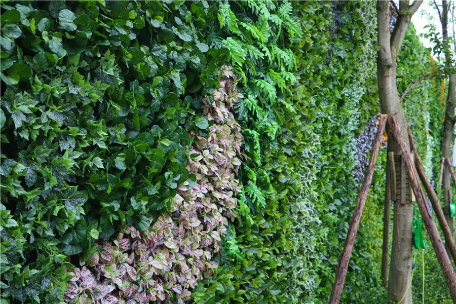 成都植物墙垂直立体绿化