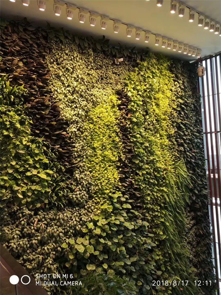 腾讯大厦室内垂直绿化植物墙案例 (3)