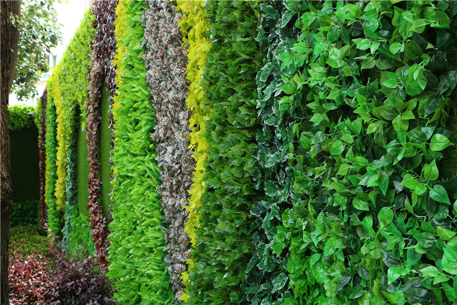 成都仿真植物墙该如何选择绿植？