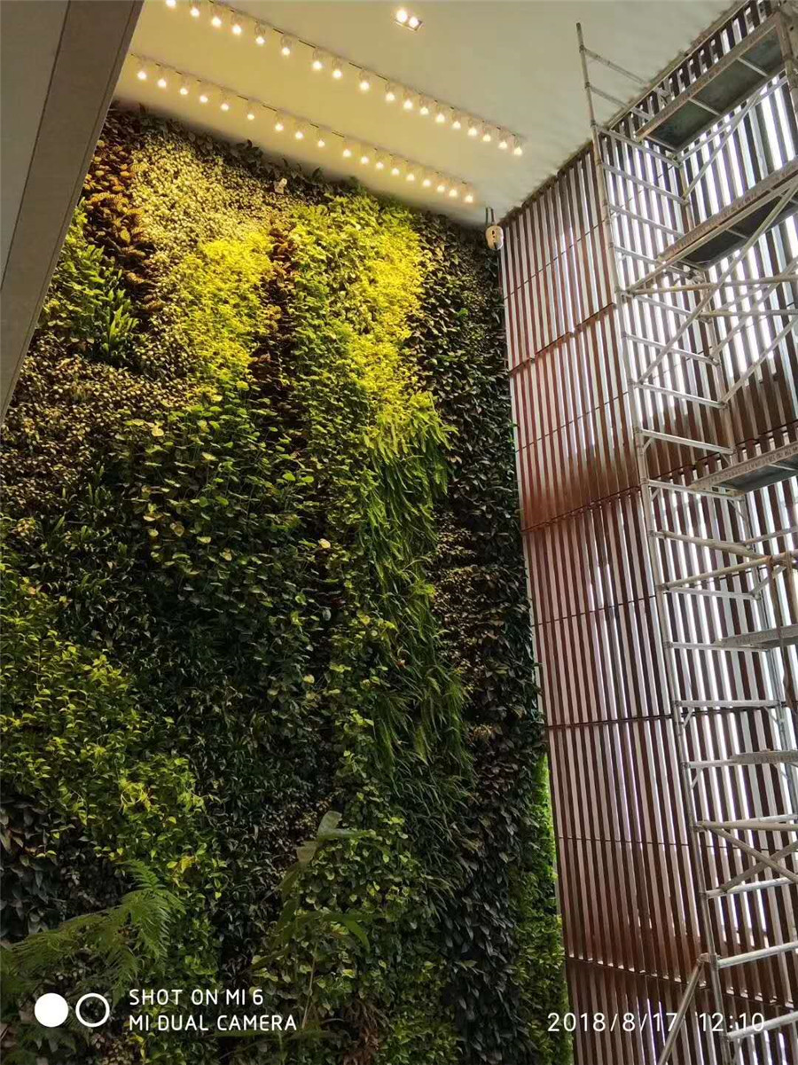 腾讯大厦室内垂直绿化植物墙案例 (5)