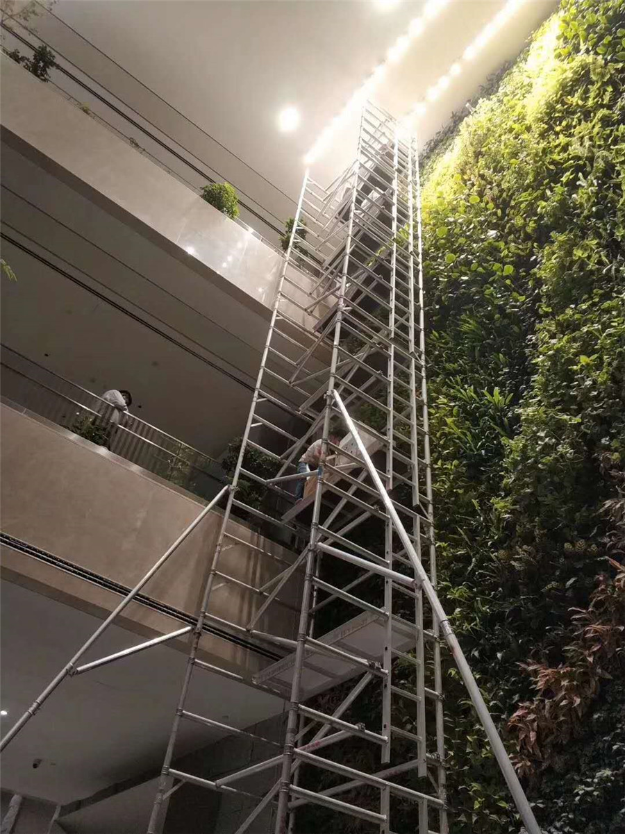 腾讯大厦室内垂直绿化植物墙案例 (1)