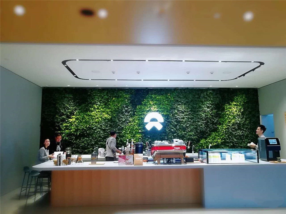 公司使用仿真植物做LOGO形象墙的好处