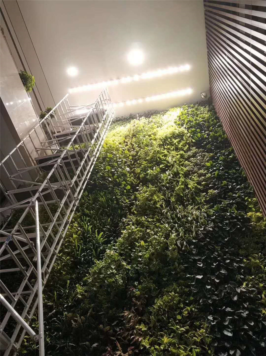 腾讯大厦室内垂直绿化植物墙案例 (2)