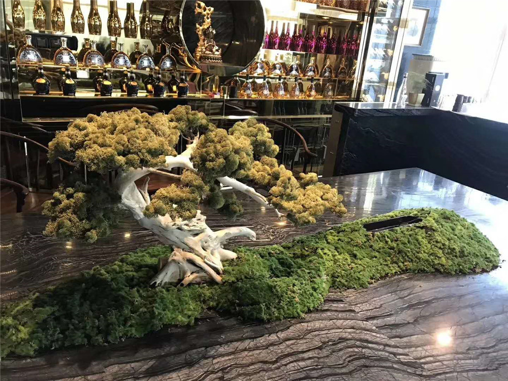 建筑绿化中的植物选择对防火性能有何影响