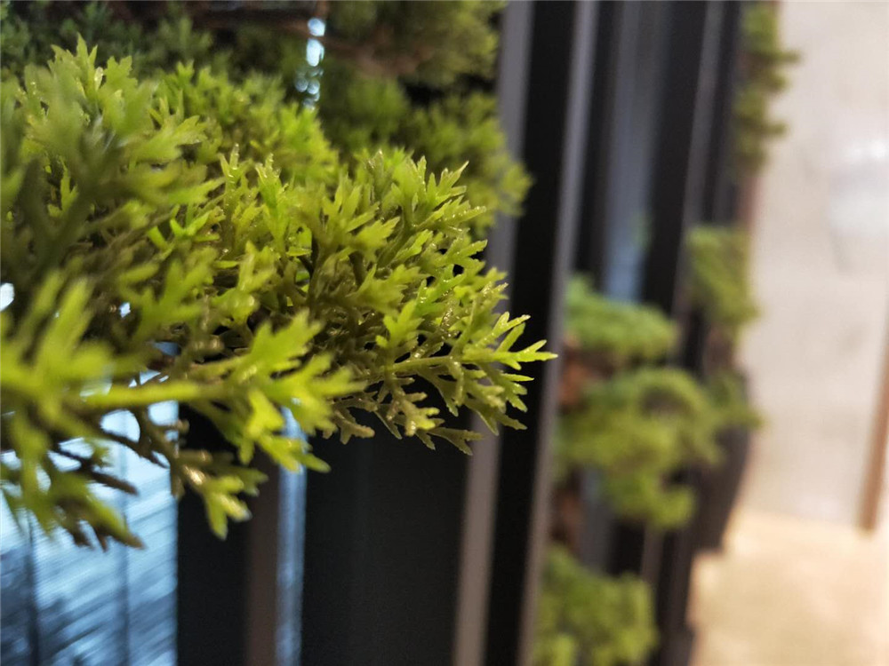 如何安装一面漂亮的立体垂直绿化植物墙