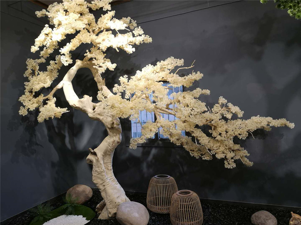 墙面垂直绿化政府补贴政策，申请条件与流程