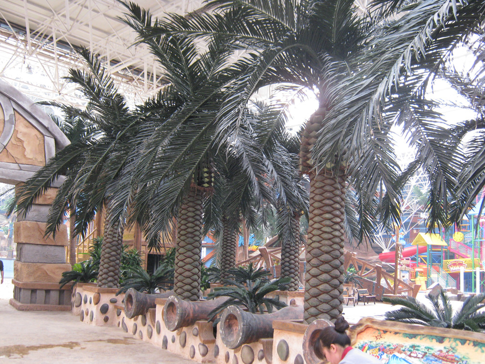 成都仿真椰子树绿化装饰适合那些场所?
