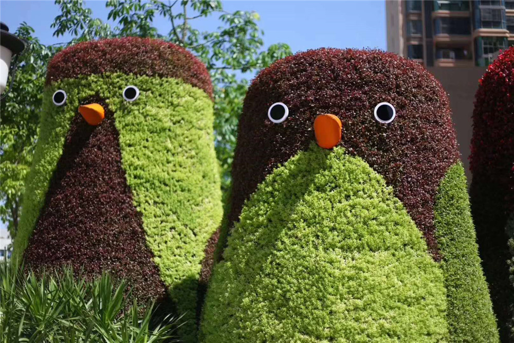 成都绿植仿真动物造型，企鹅植物雕塑