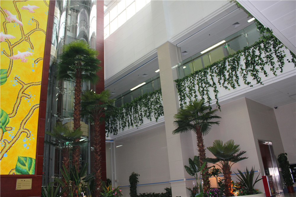 蓉馨仿真玻璃钢大树制作案例，广州肿瘤医院 (3)