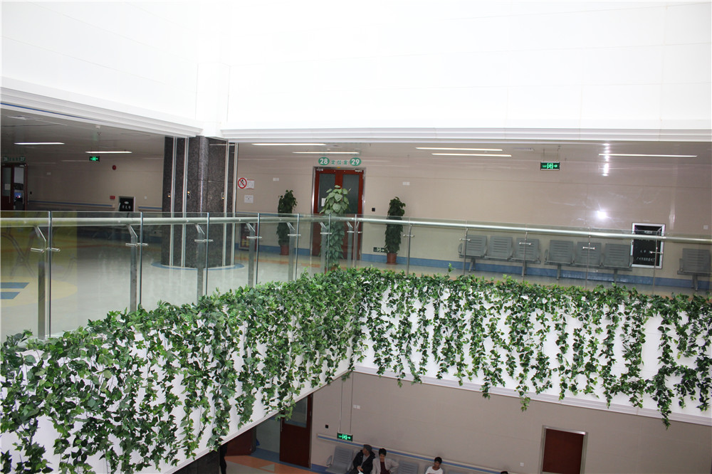 蓉馨仿真玻璃钢大树制作案例，广州肿瘤医院 (4)