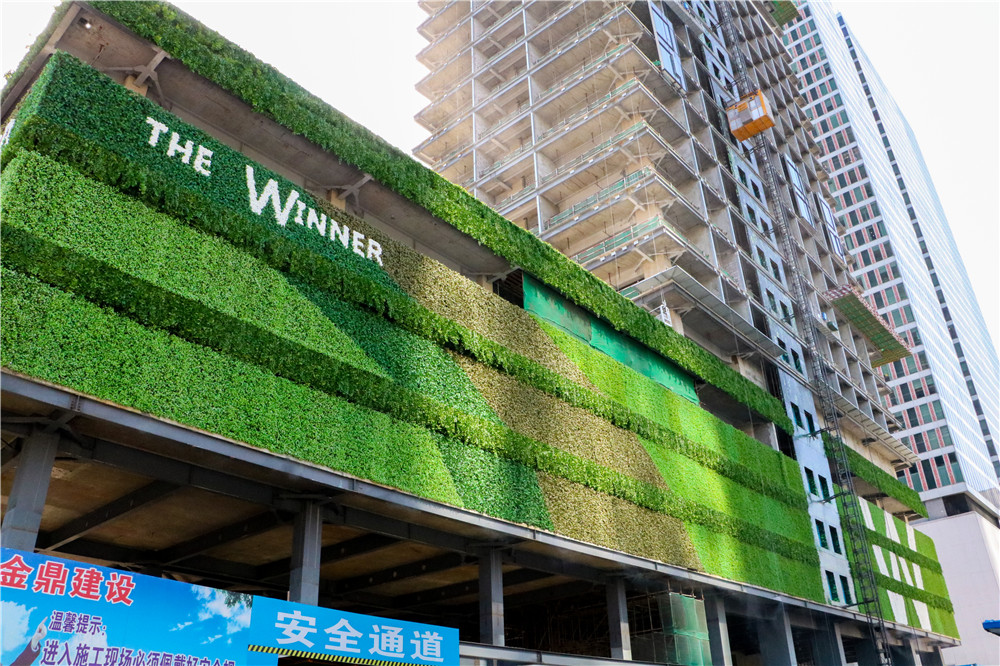 成都仿真植物墙设计制作工程案例，太古里赢家 (3)
