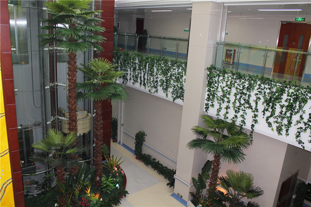 蓉馨仿真玻璃钢大树制作案例，广州肿瘤医院 (1)