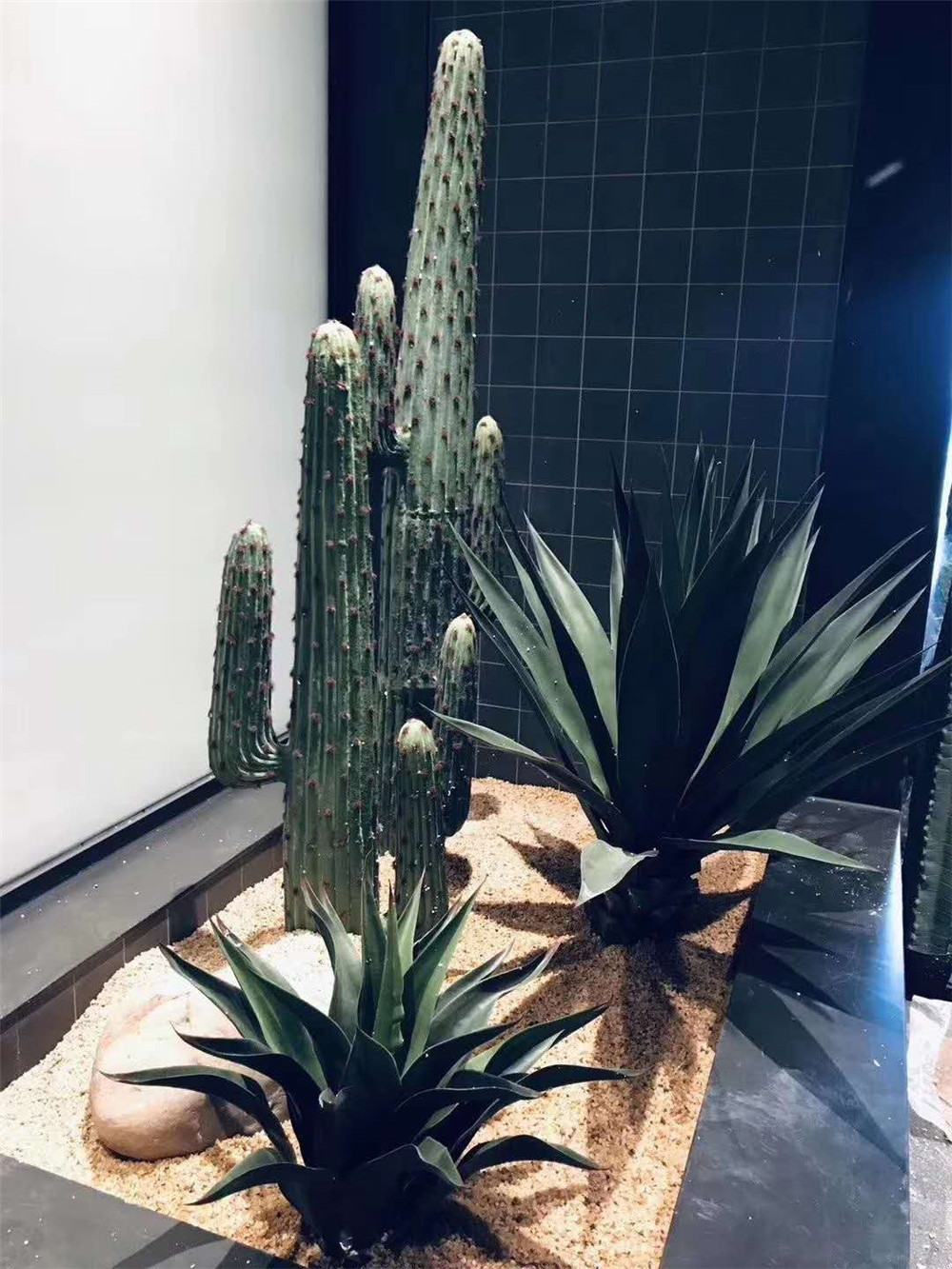 仿真植物花草案例，潮牌女装仙人掌 (1)