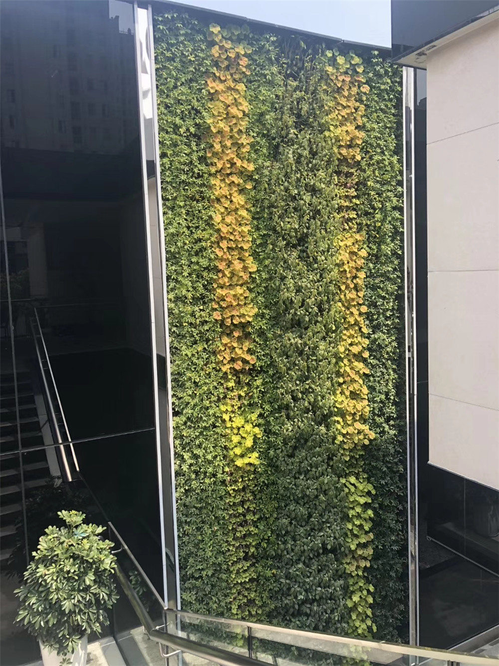 成都垂直绿化，誉峰IPC室外立体植物墙 (2)