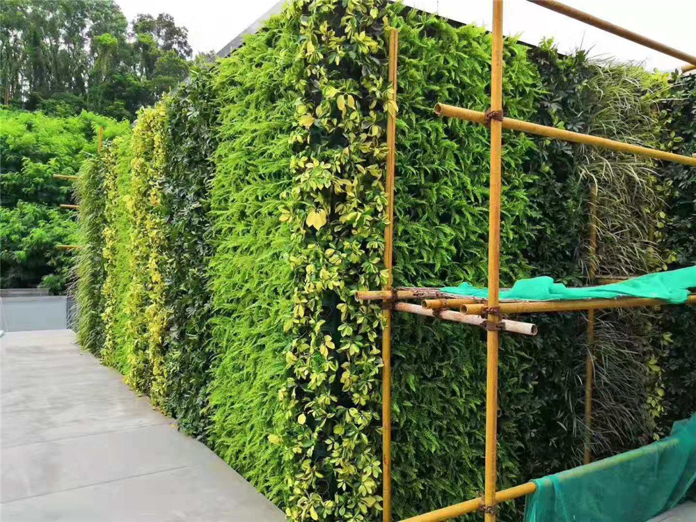 垂直绿化中应用活墙技术的优势有哪些？