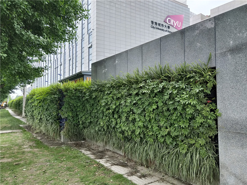 城市垂直绿化项目的成功案例有哪些