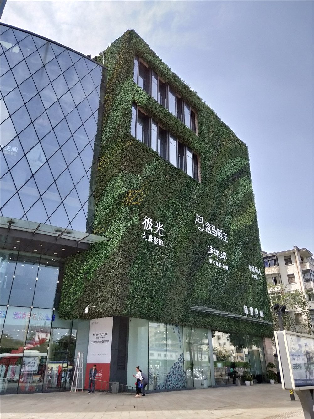 立体绿化植物墙养护方法，日常保养技巧