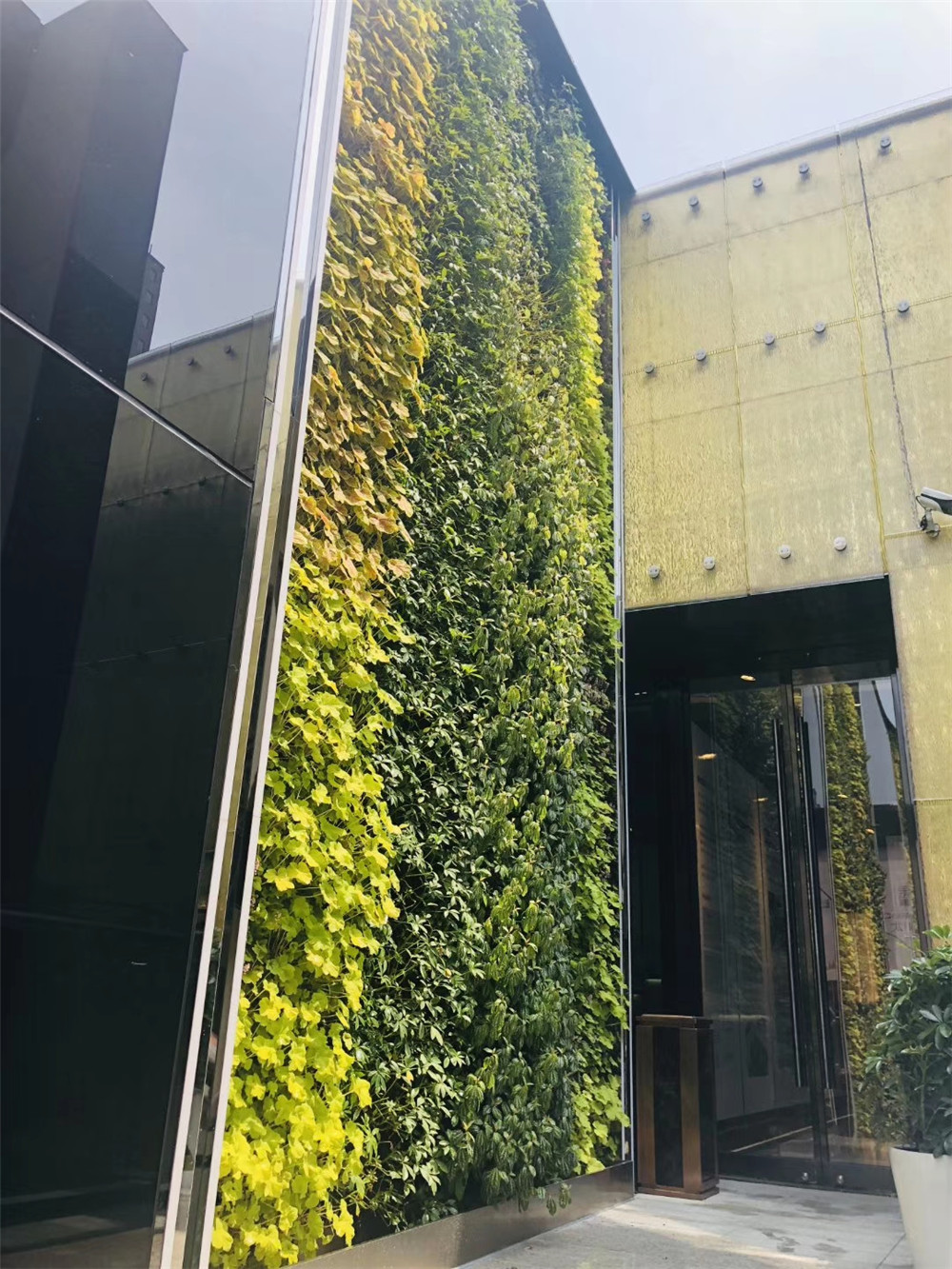成都垂直绿化，誉峰IPC室外立体植物墙 (1)