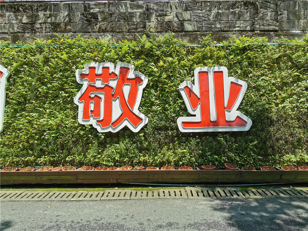 蓉馨立体垂直绿化植物墙案例，惠州罗浮山 (2)