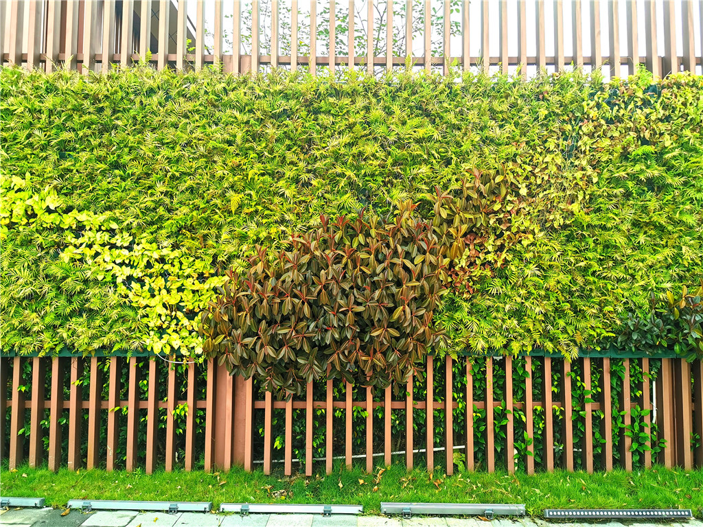 珠海垂直立体绿化植物墙，观塘富力城售楼部装饰 (7)