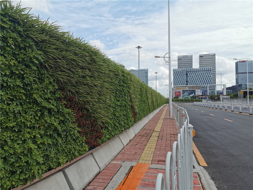 广州琶洲会展中心垂直绿化植物墙围挡案例 (4)