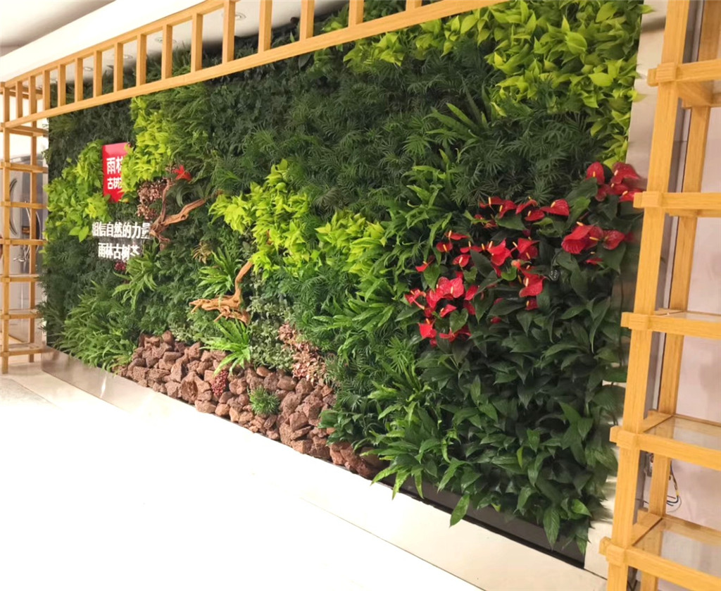垂直绿化植物墙-室内，深圳雨林古树茶形象墙 (3)