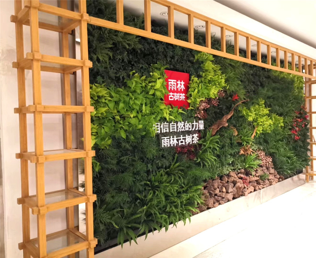 室内垂直绿化植物墙，雨林古树茶形象墙