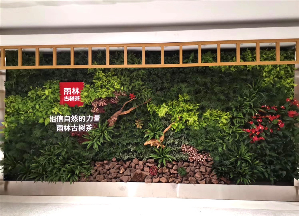 垂直绿化植物墙-室内，深圳雨林古树茶形象墙 (1)