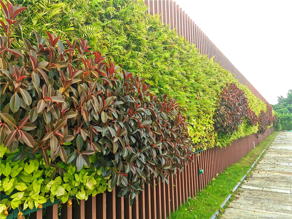 珠海垂直立体绿化植物墙，观塘富力城售楼部装饰 (2)