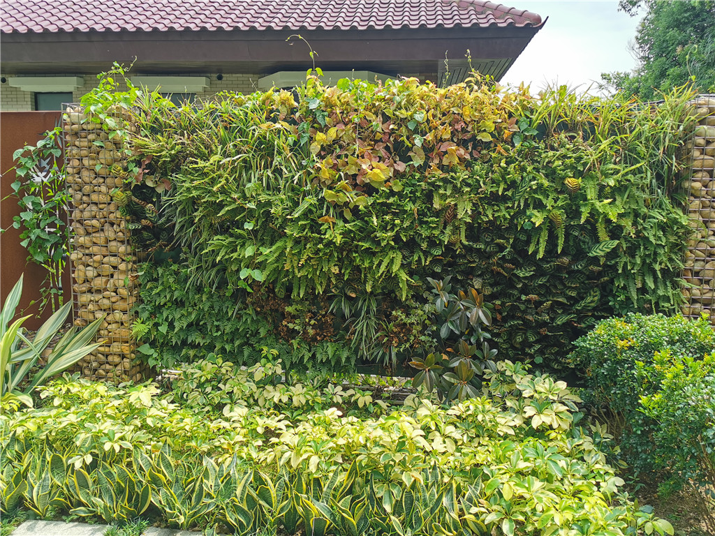 室内植物墙的制作过程