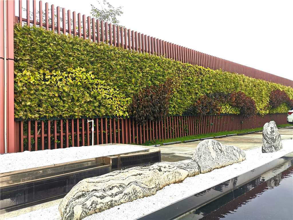 珠海垂直立体绿化植物墙，观塘富力城售楼部装饰 (1)