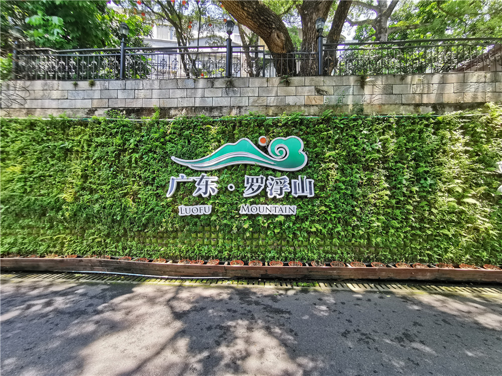 蓉馨立体垂直绿化植物墙案例，惠州罗浮山 (3)