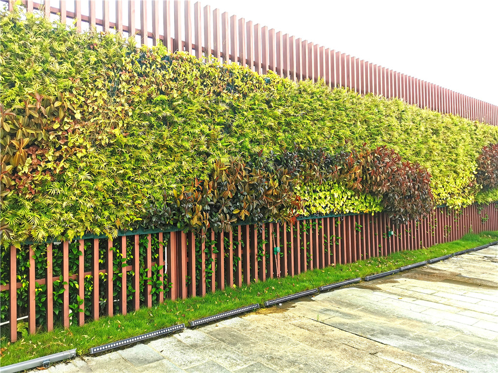 珠海垂直立体绿化植物墙，观塘富力城售楼部装饰 (6)