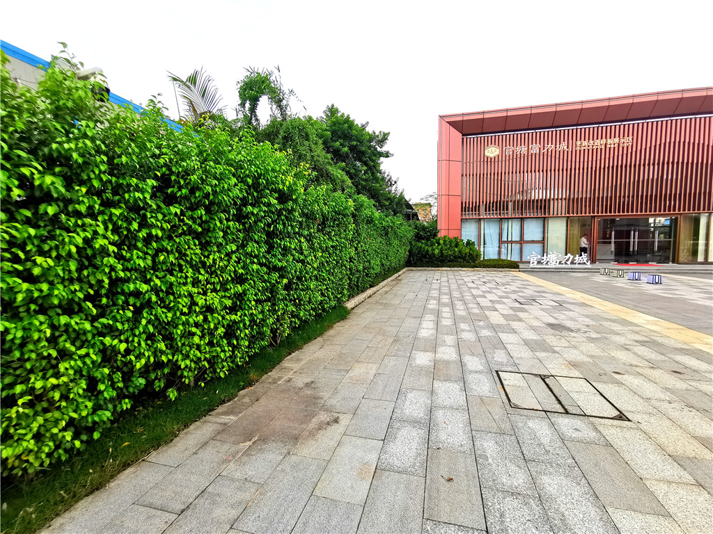 珠海垂直立体绿化植物墙，观塘富力城售楼部装饰