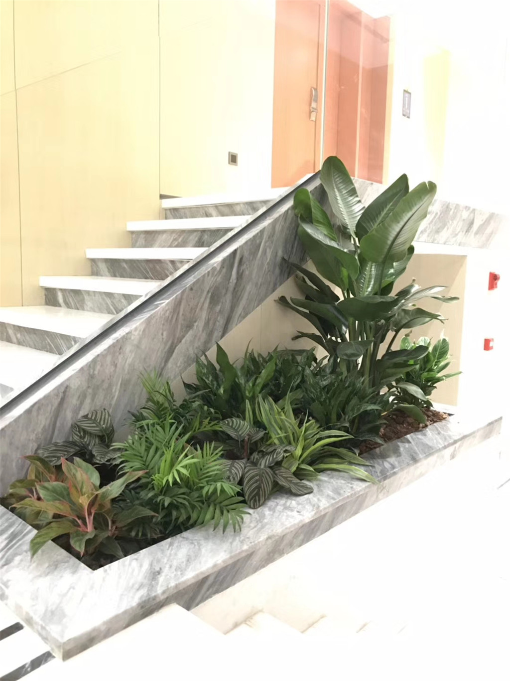 成都魔住·智慧酒店植仿真物造景装饰 (6)