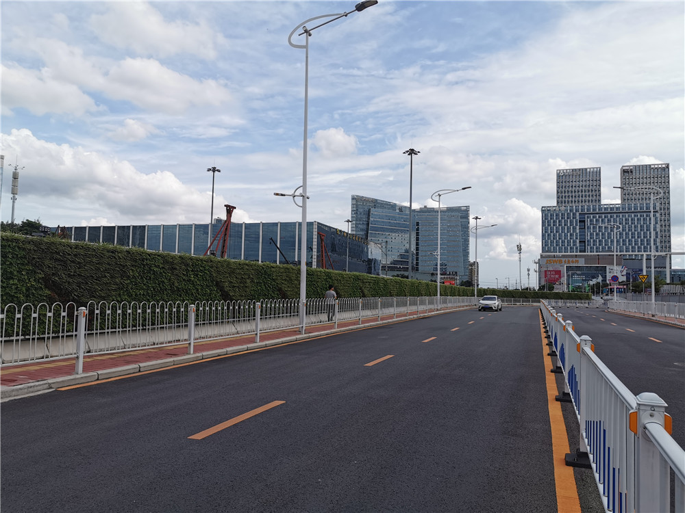 广州琶洲会展中心垂直绿化植物墙围挡案例 (6)