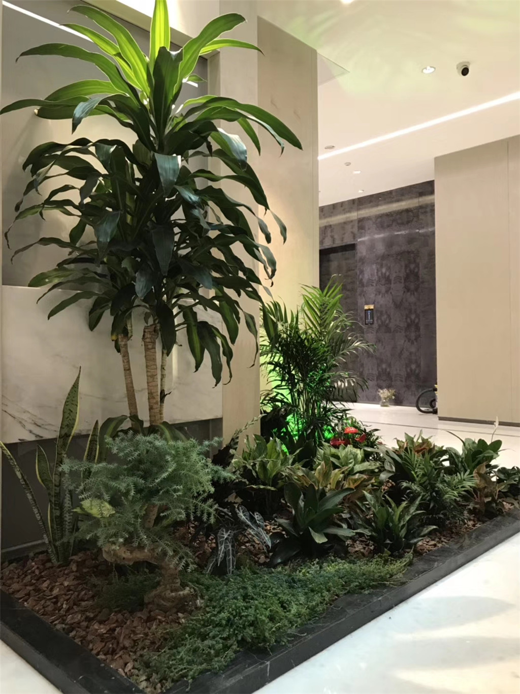 成都魔住·智慧酒店植仿真物造景装饰 (1)