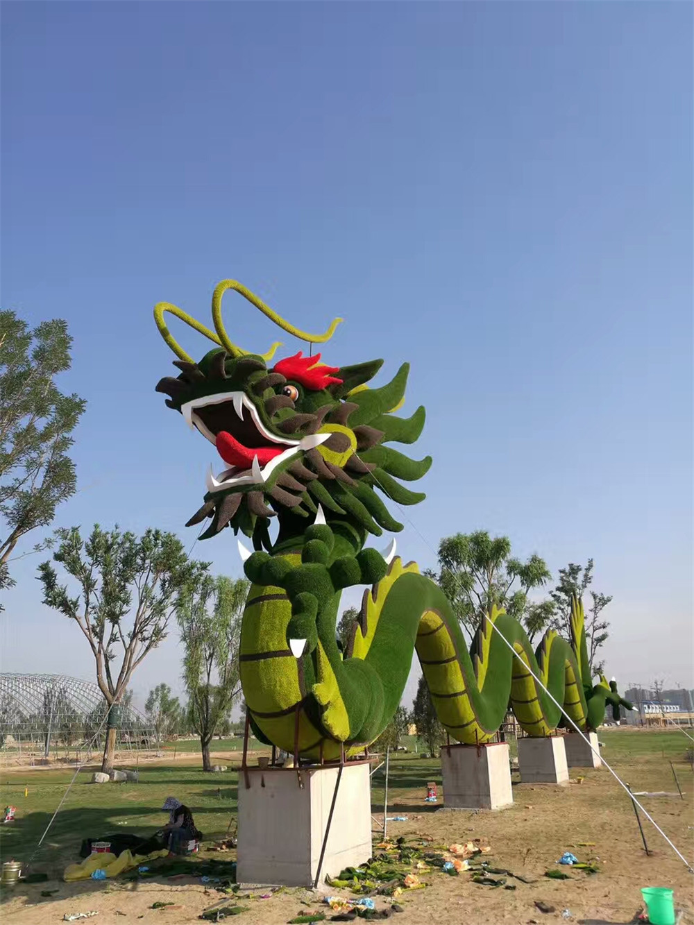 广东植物雕塑，中国龙立体花坛绿雕 (2)