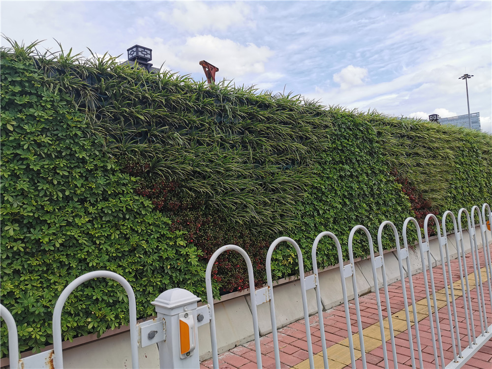 广州琶洲会展中心垂直绿化植物墙围挡案例 (8)