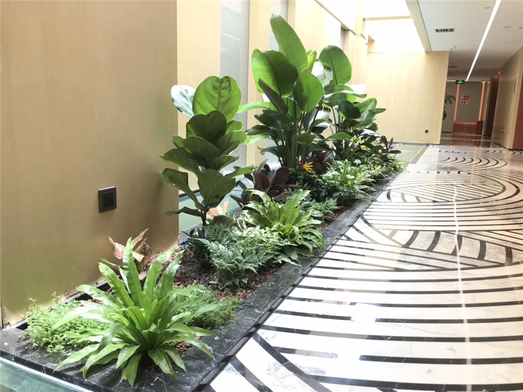 成都魔住·智慧酒店植仿真物造景装饰 (5)