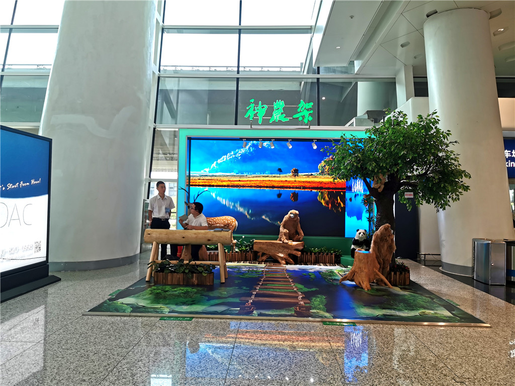 武汉天河国际机场神农架旅游局机场DP点仿真树布置 (1)