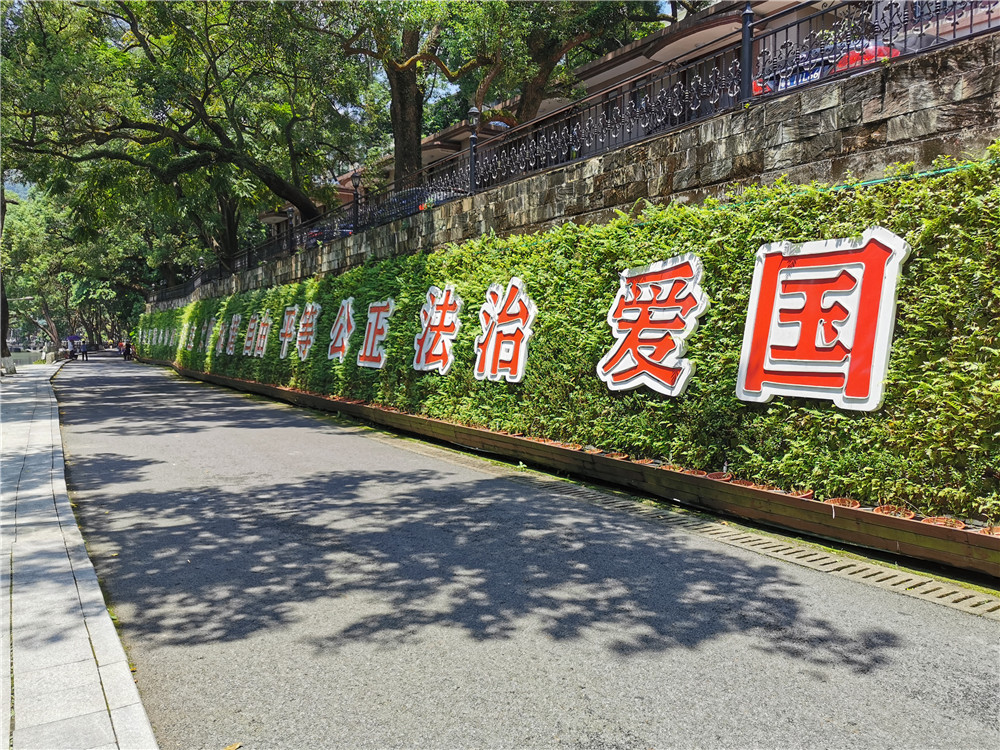 蓉馨立体垂直绿化植物墙案例，惠州罗浮山 (1)