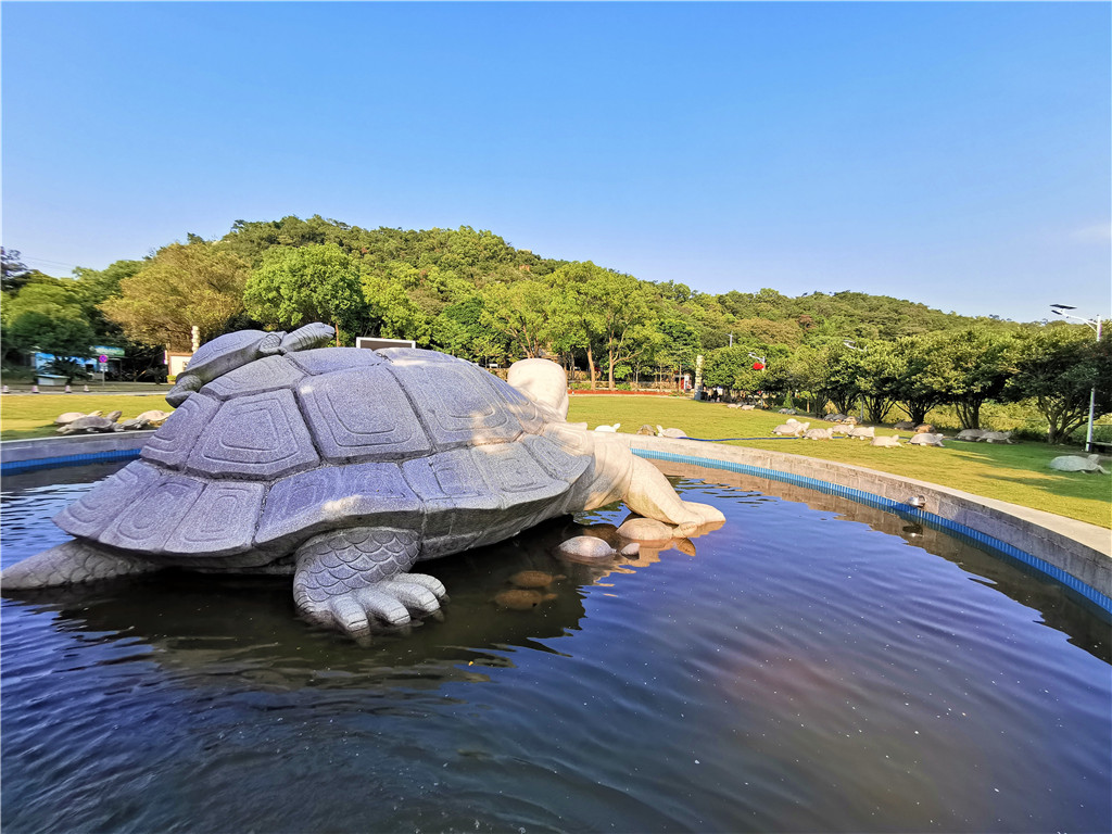 玻璃钢雕塑-汕头南澳景区乌龟雕塑 (6)