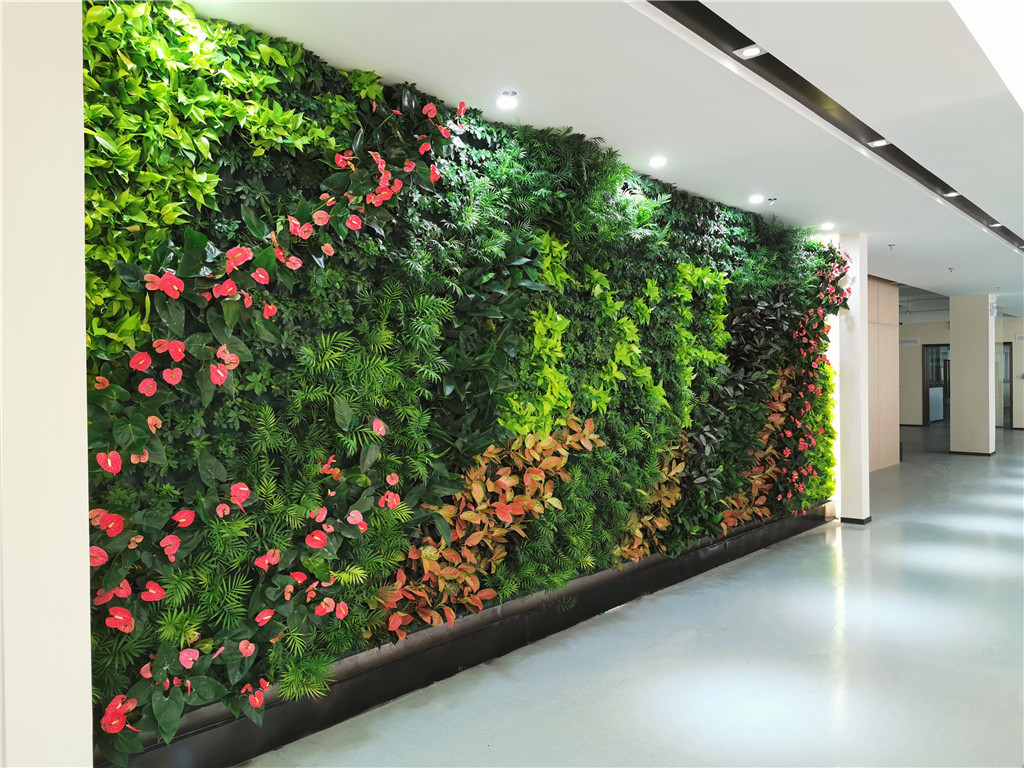垂直绿化-深圳康建药业-室内植物墙 (3)