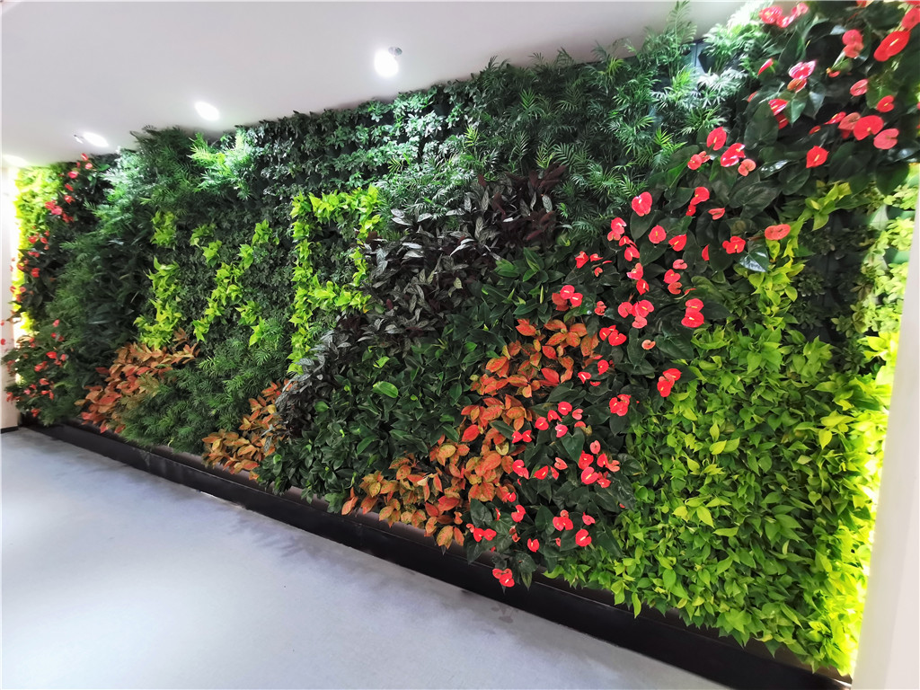 垂直绿化-深圳康建药业-室内植物墙 (2)