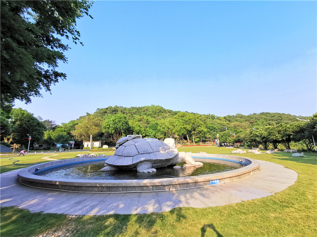 如何通过垂直绿化增加城市空间的私密性？