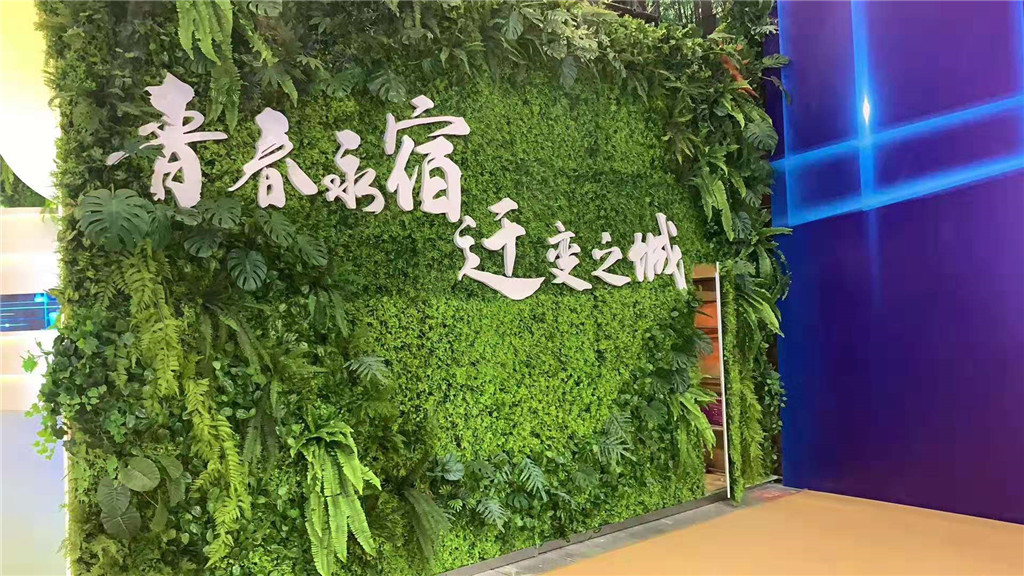 智能绿植打造会呼吸的立体植物墙